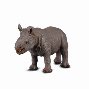 White Rhinoceros Calf