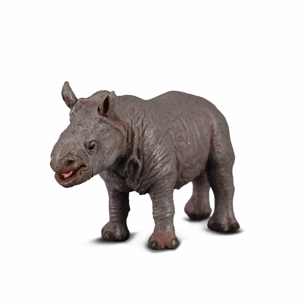 White Rhinoceros Calf