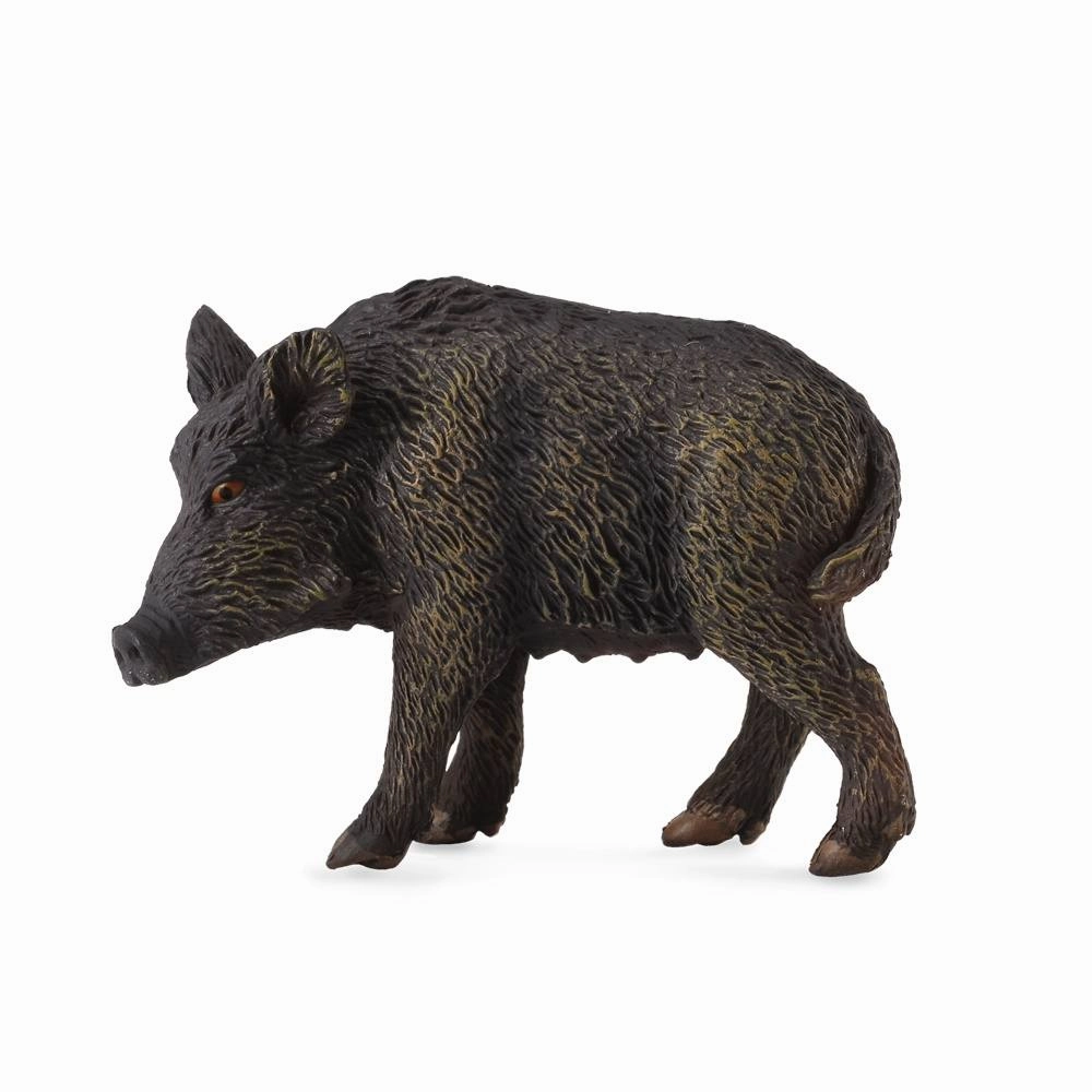 Wild Sow