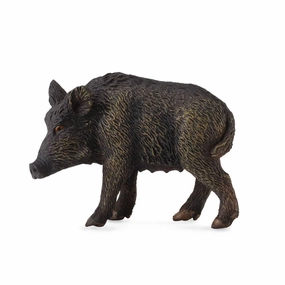 Wild Sow