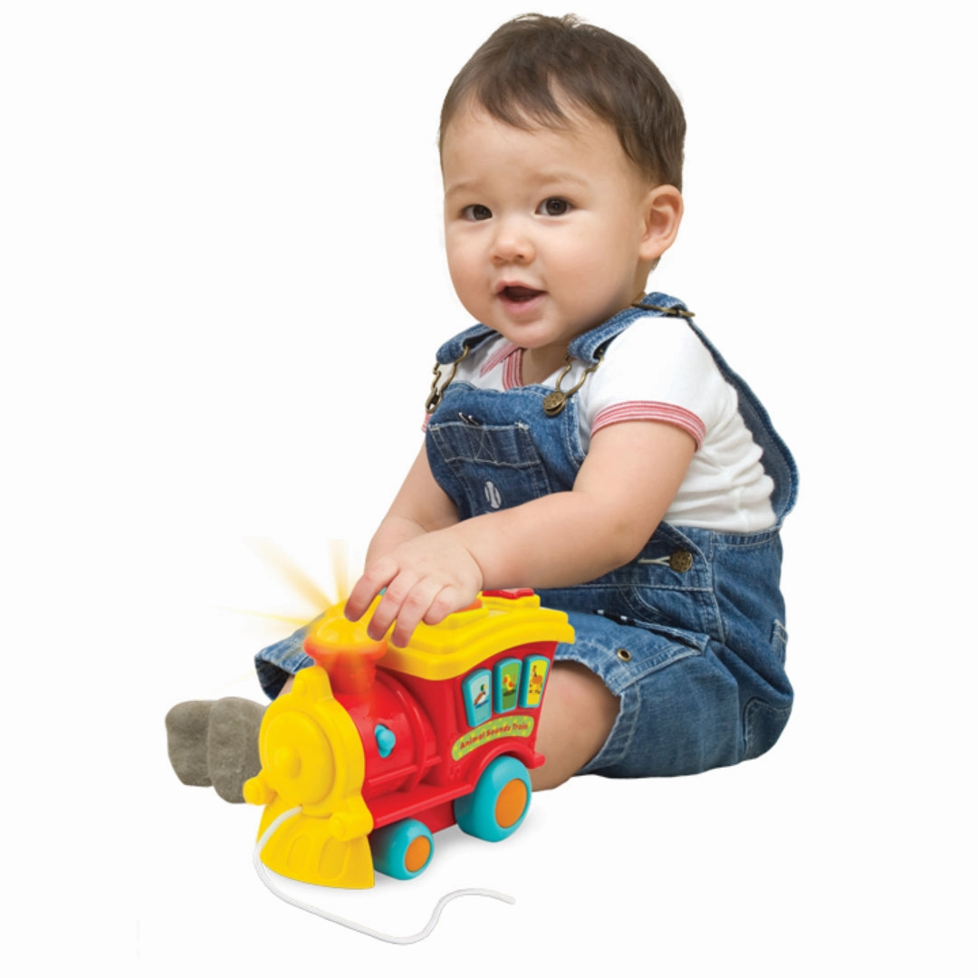 Winfun Animal Sounds Train Toy For Kids