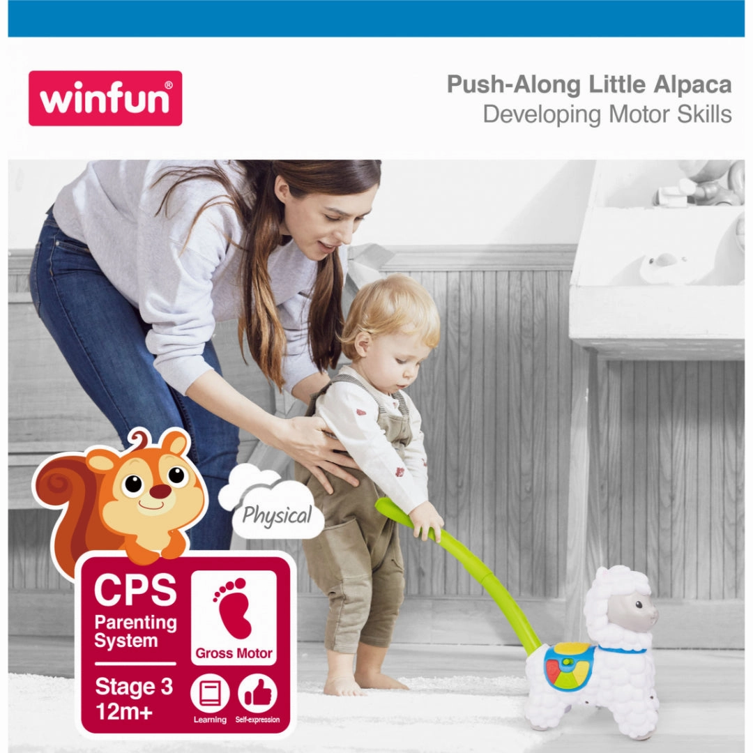 Winfun Push-Along Little Alpaca