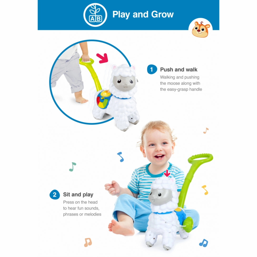 Winfun Push-Along Little Alpaca