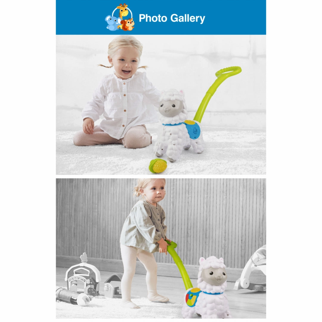Winfun Push-Along Little Alpaca