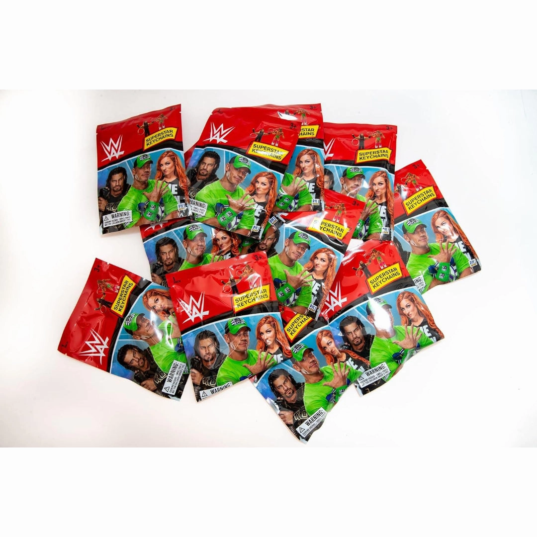 WWE 3D figural Wrestling Superstars Keychains Blind Bag, 24 pcs in CDU