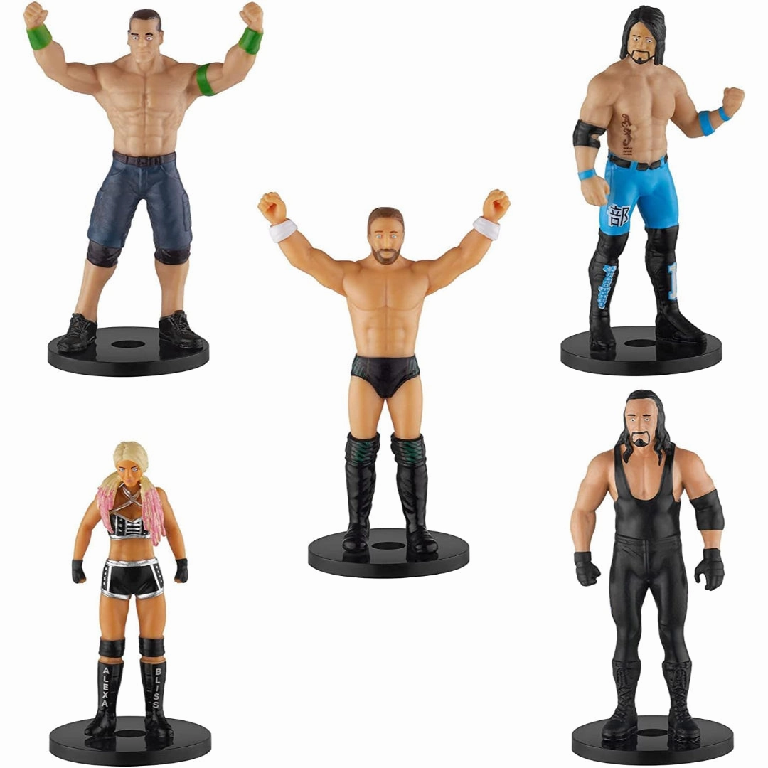 WWE WWE Superstar Pencil Toppers, Set of 5