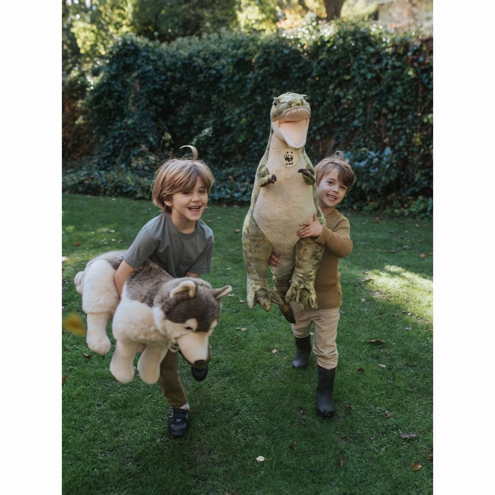 WWF T-Rex Giant - 80 cm - 31.5