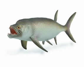 Xiphactinus - 1:40 Scale