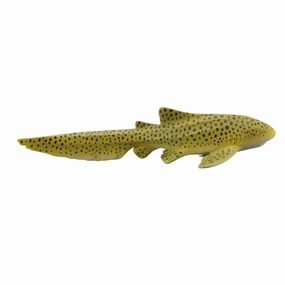 Zebra Shark